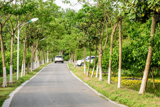 珍珠泉风景区道路