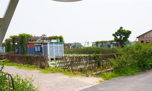 宝包农场 集装箱旅馆