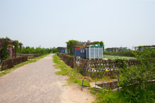 宝包农场 集装箱旅馆