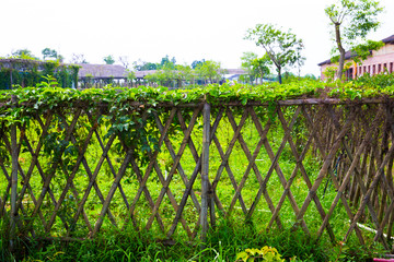 篱笆 栅栏 竹子 围栏