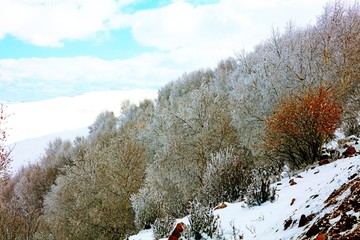 坝上初雪