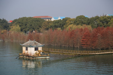 浮桥 湖泊