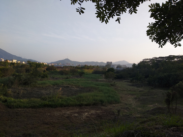 湿地公园风景