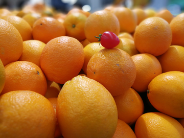 香橙 甜橙 橙子 水果 超市