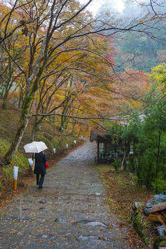 日本雨天