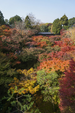 日本东福寺