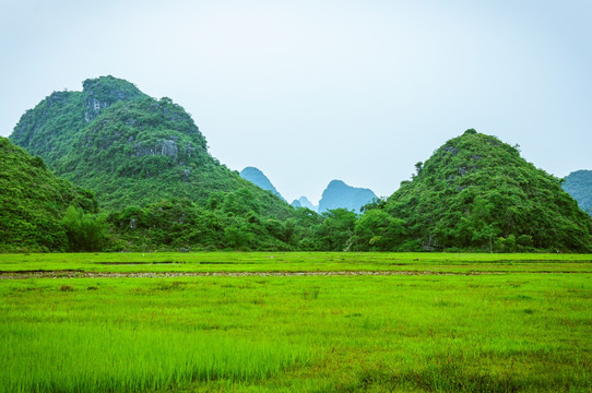 田园风光