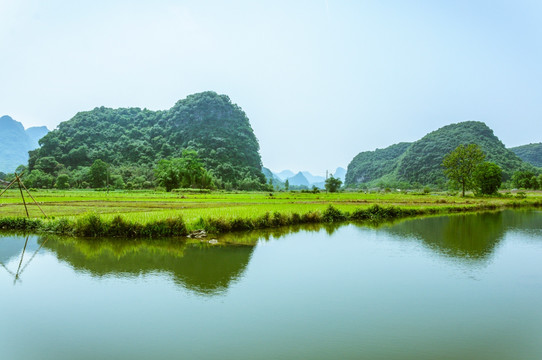 田园春色