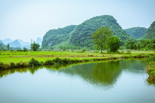 田园春色