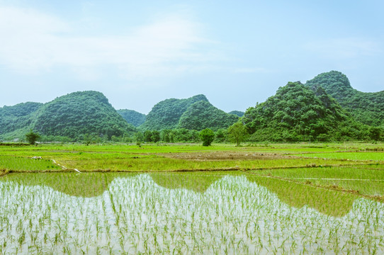 田园春色