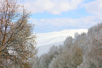 丰宁坝上雪原