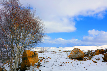 丰宁坝上雪原