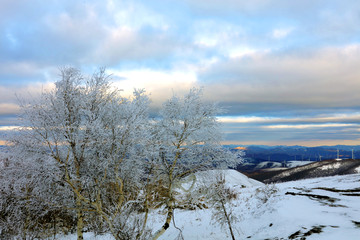 丰宁坝上雪原