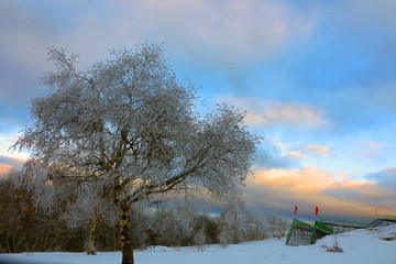 丰宁坝上雪原