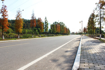 公路