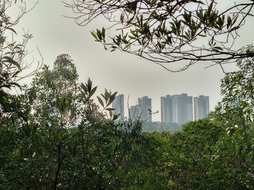 山间风景