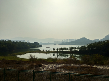 立新湖风景