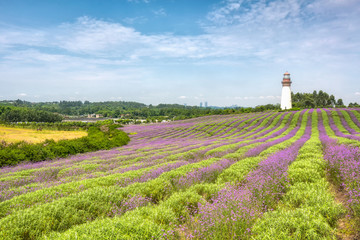 香薰山谷