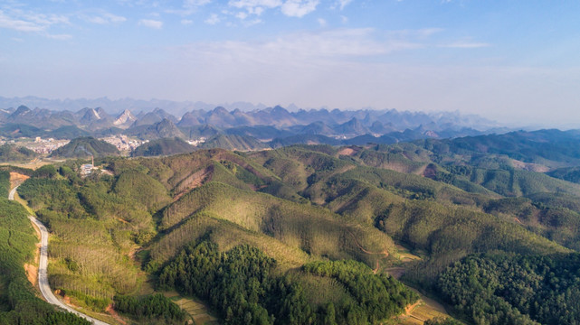 山川林地