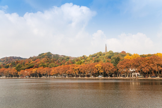 杭州西湖秋景