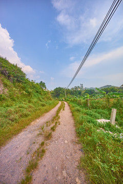 乡下道路风光