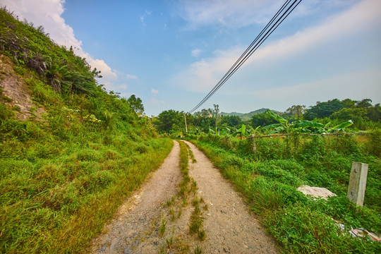 乡下道路风光