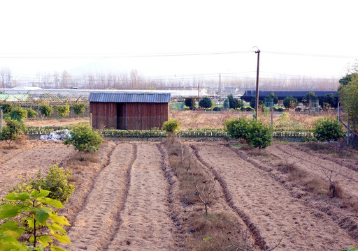 田园 小屋