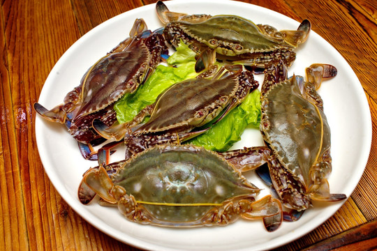 海鲜大咖 海鲜大餐 海鲜摄影