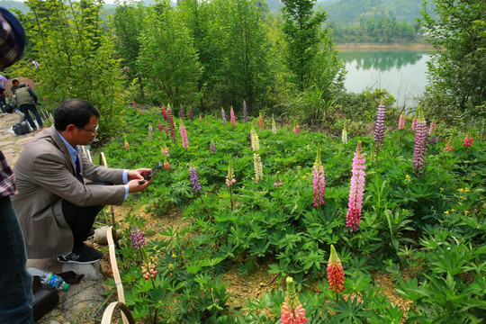 拍花的人