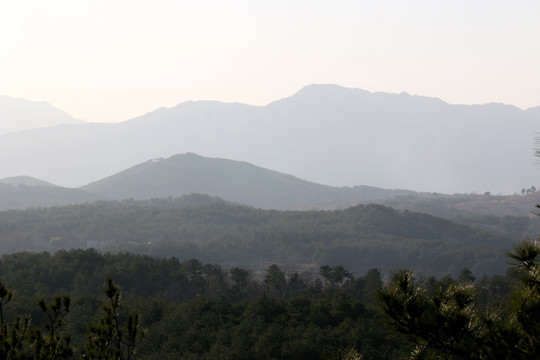 大顶山风景