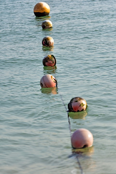 水上浮球