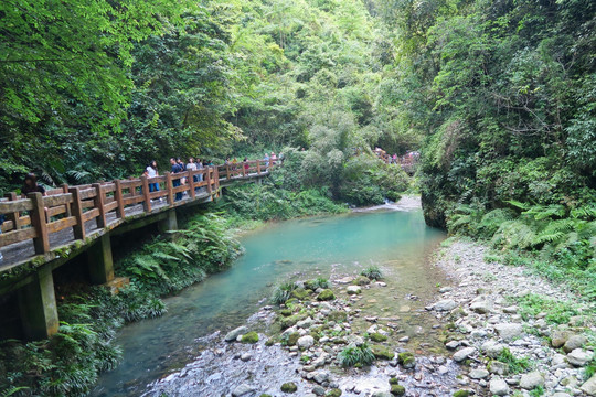 武隆天坑地缝景区