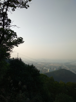 眺望山下风景