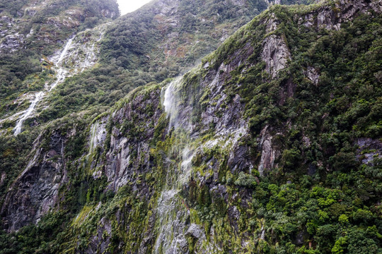 米尔福德峡湾