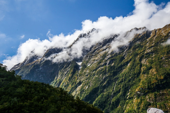 米尔福德峡湾