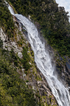 米尔福德峡湾