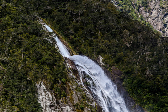 米尔福德峡湾