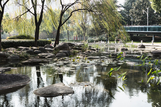 湖景