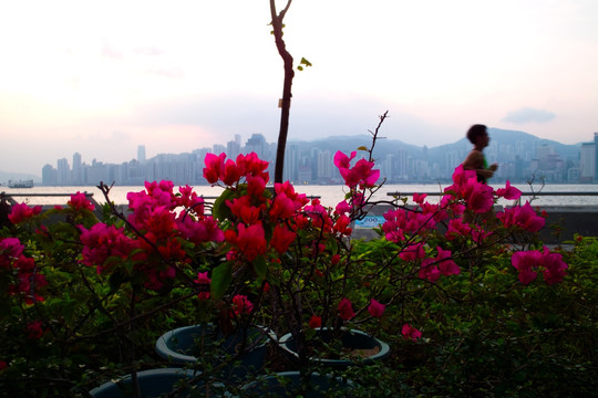 香港街景