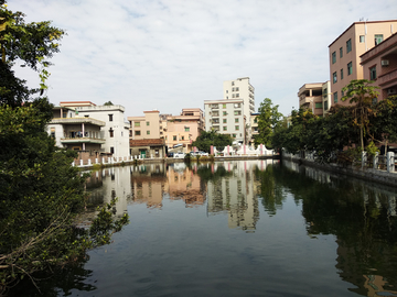 社区池塘风景