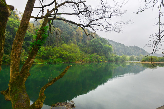 婺源美景