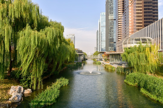 城市河道绿化