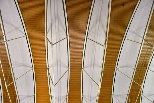 机场 吊顶 大厅 建筑天花板