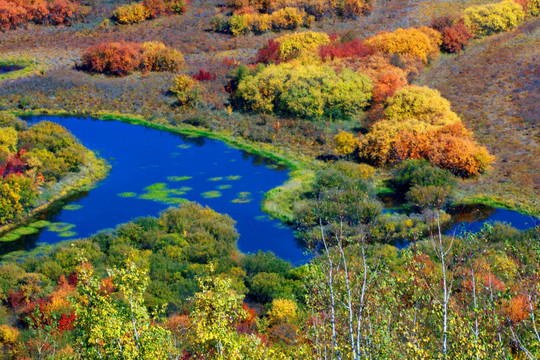 根河湿地