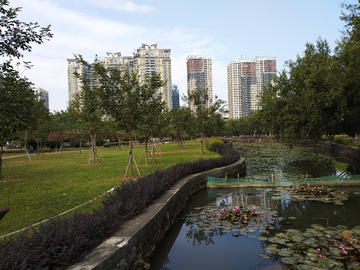 公园河道风景