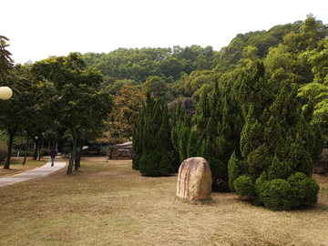 公园绿化风景