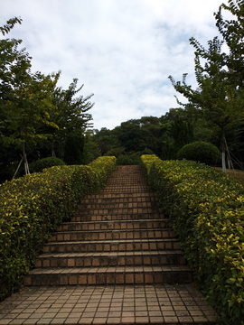 登山台阶