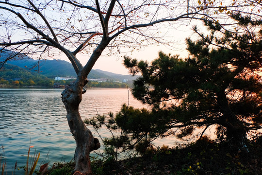 湘湖风景区