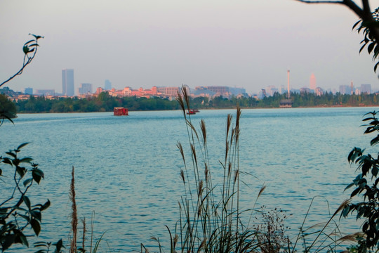 湘湖风景