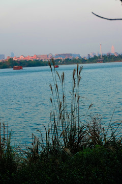 湘湖风景